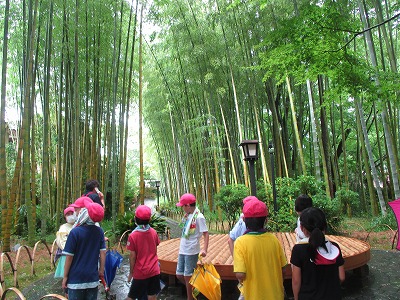 竹林の小道